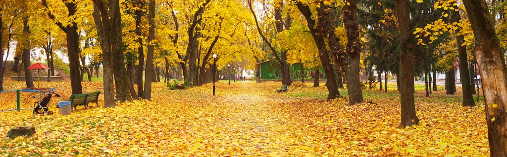 Золотая осень