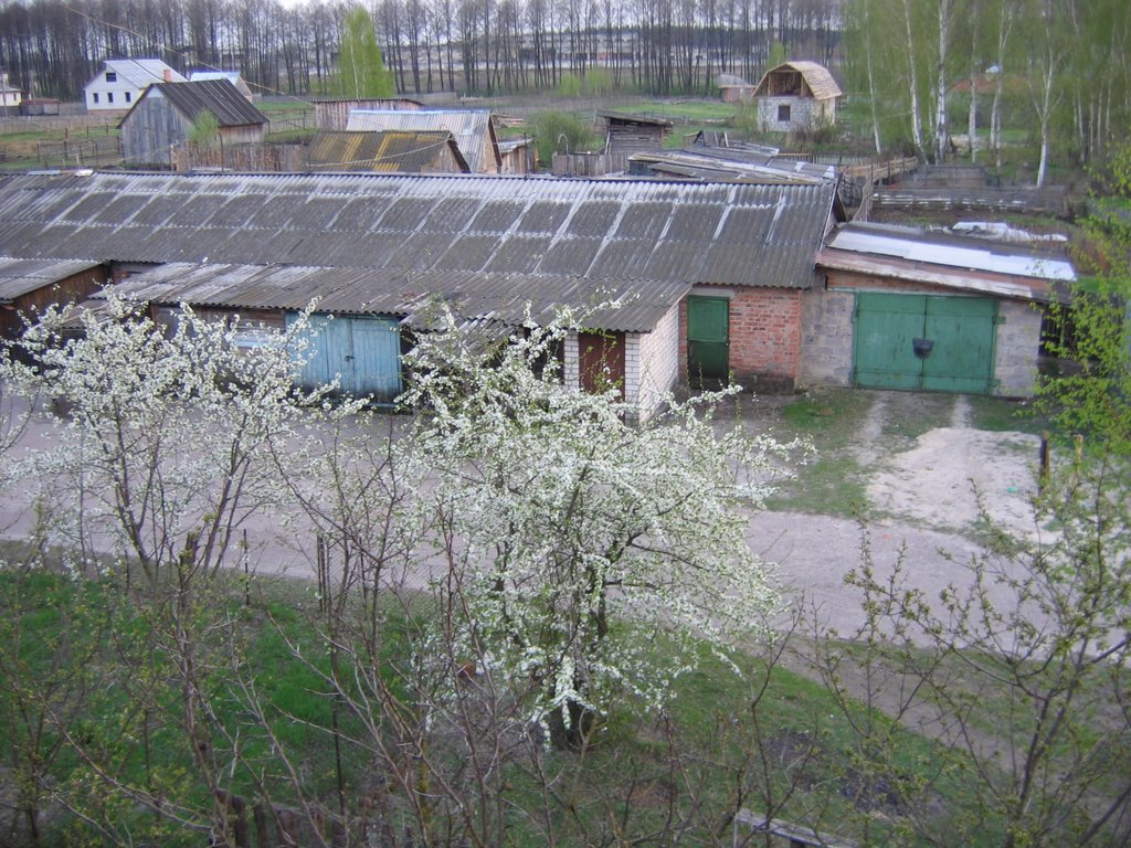 Вид