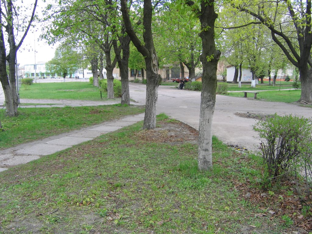 Парк в центре города