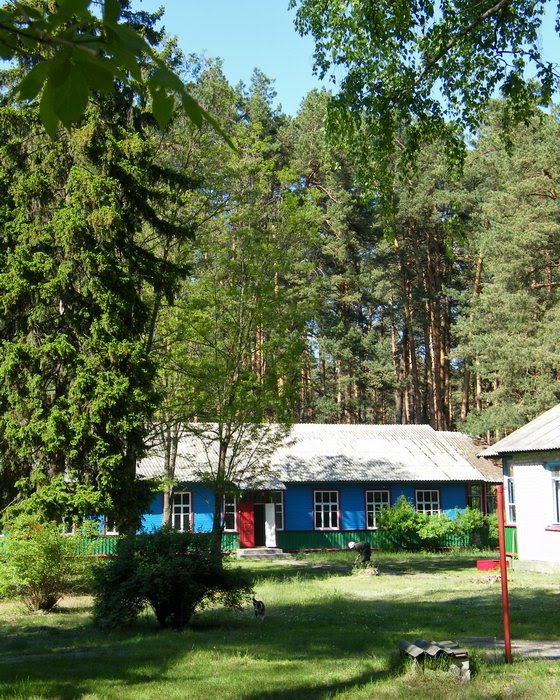 В дитячому таборі