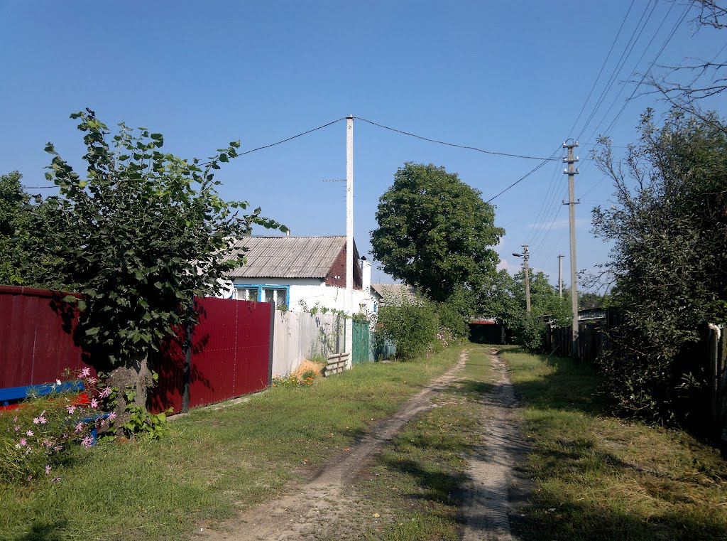 Улица