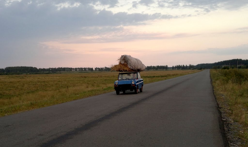 Мотоколяска