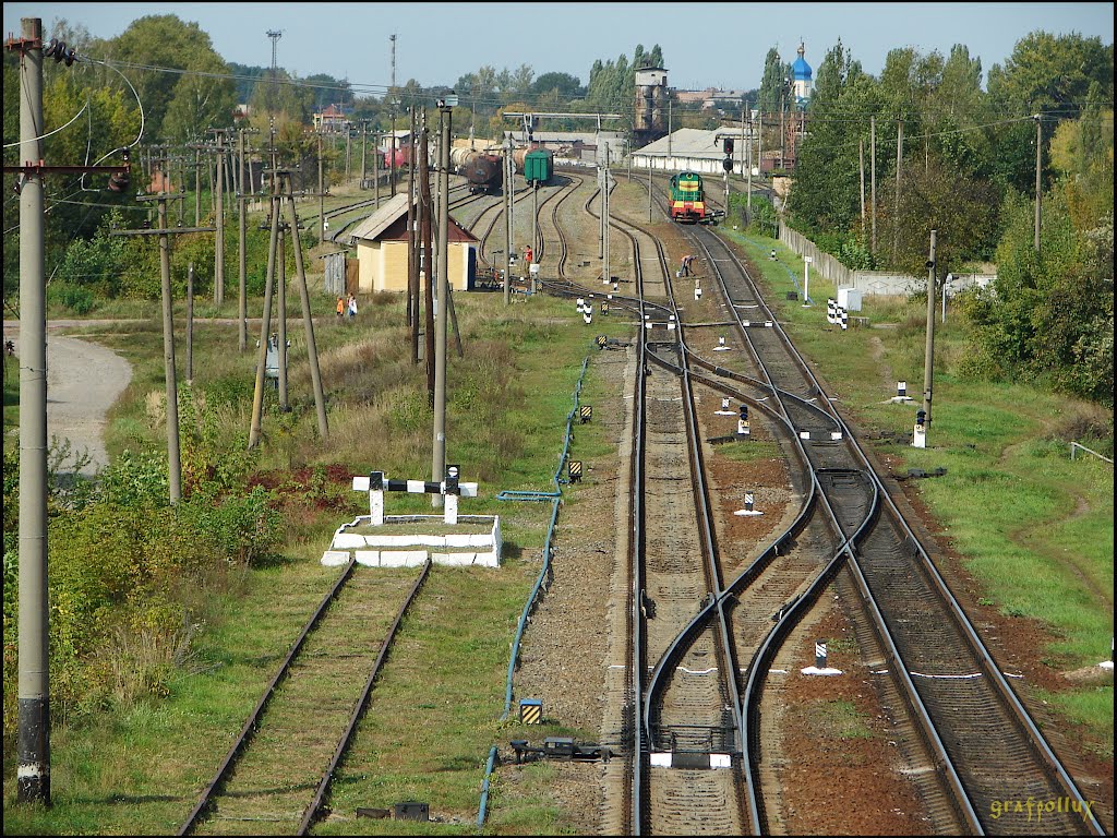 Вид с объездной дороги (мост) на ж/д станцию Щорс.