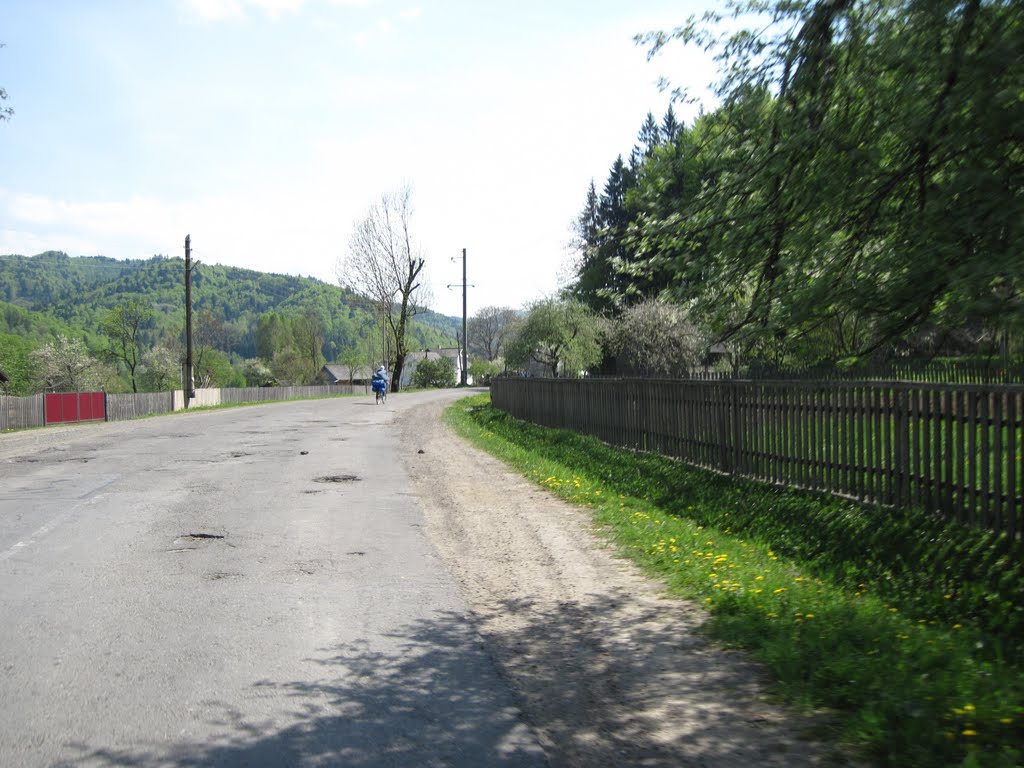 Берегомет