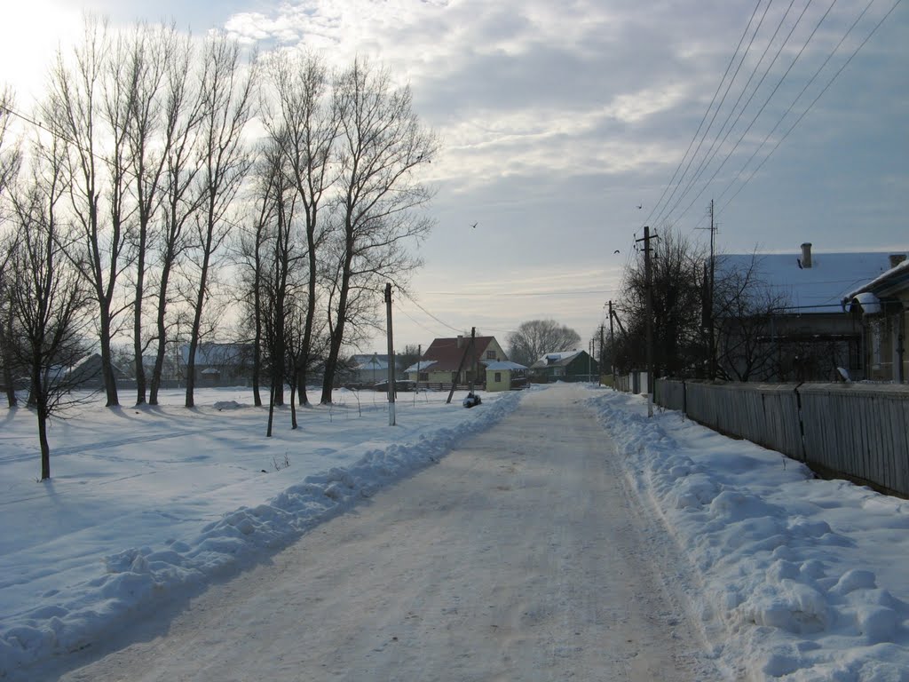 Пос. Вашковцы. Ул. Петра Лютика зимой. 08.01.2010.