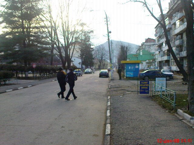 Вижница
