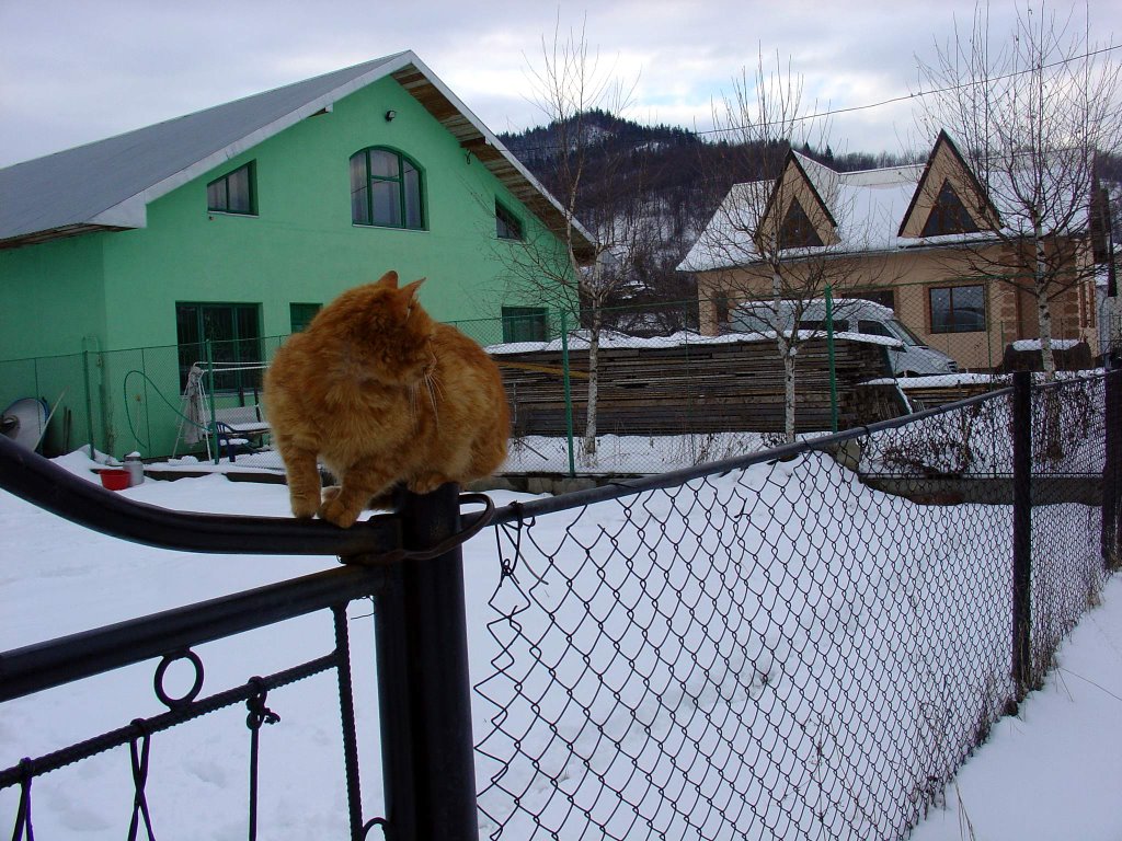 А які будинки...