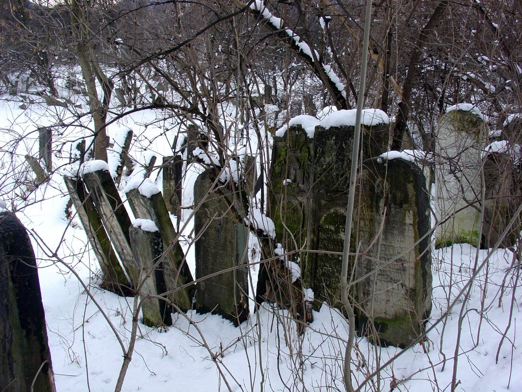 Старий єврейський цвинтар / Jewish Cemetery