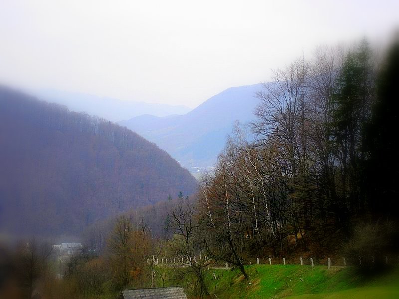Road to Vyzhnytsa