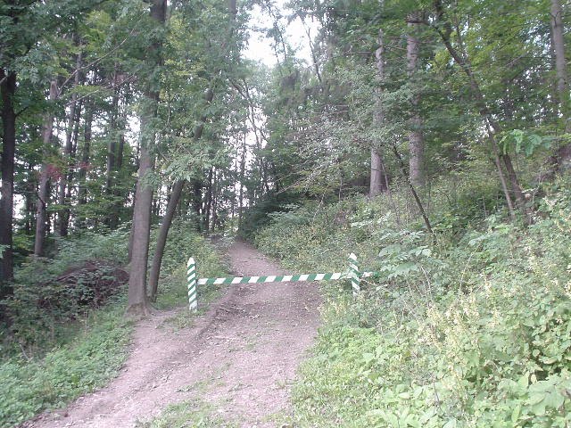 Дорога на капличку