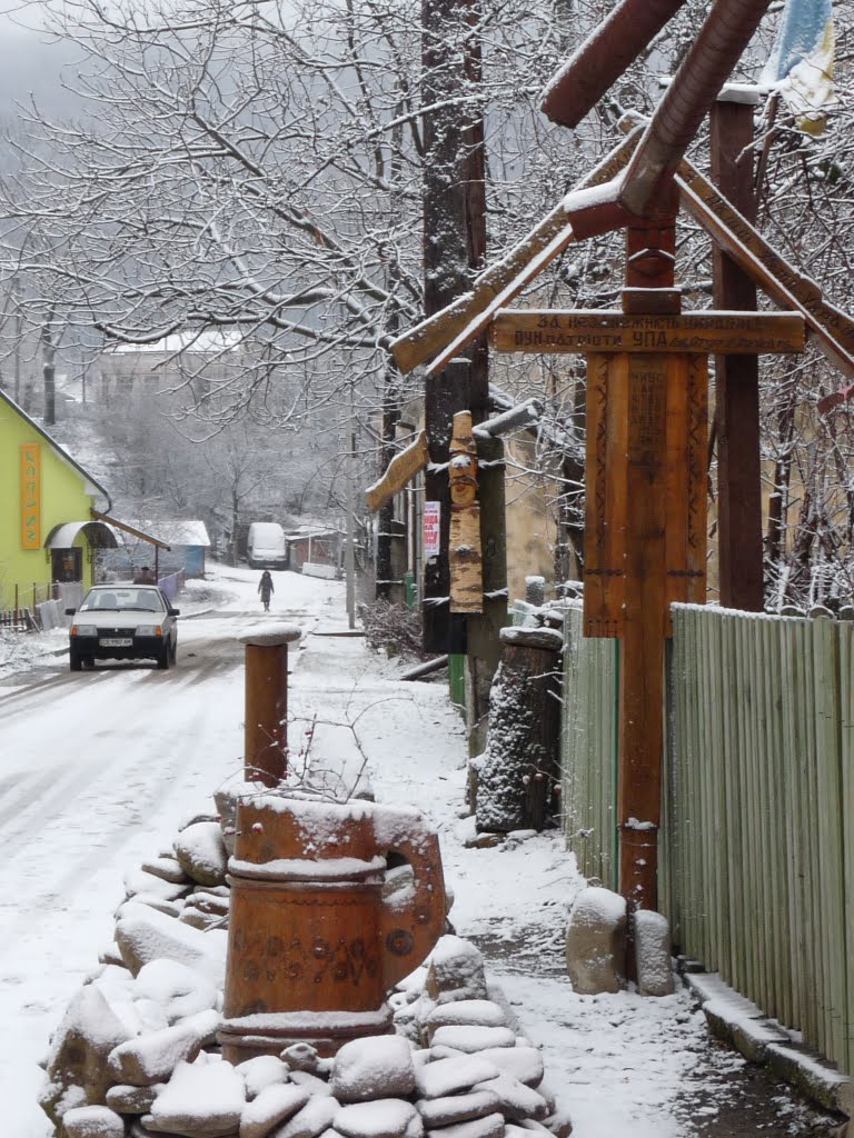 Насіння і коріння