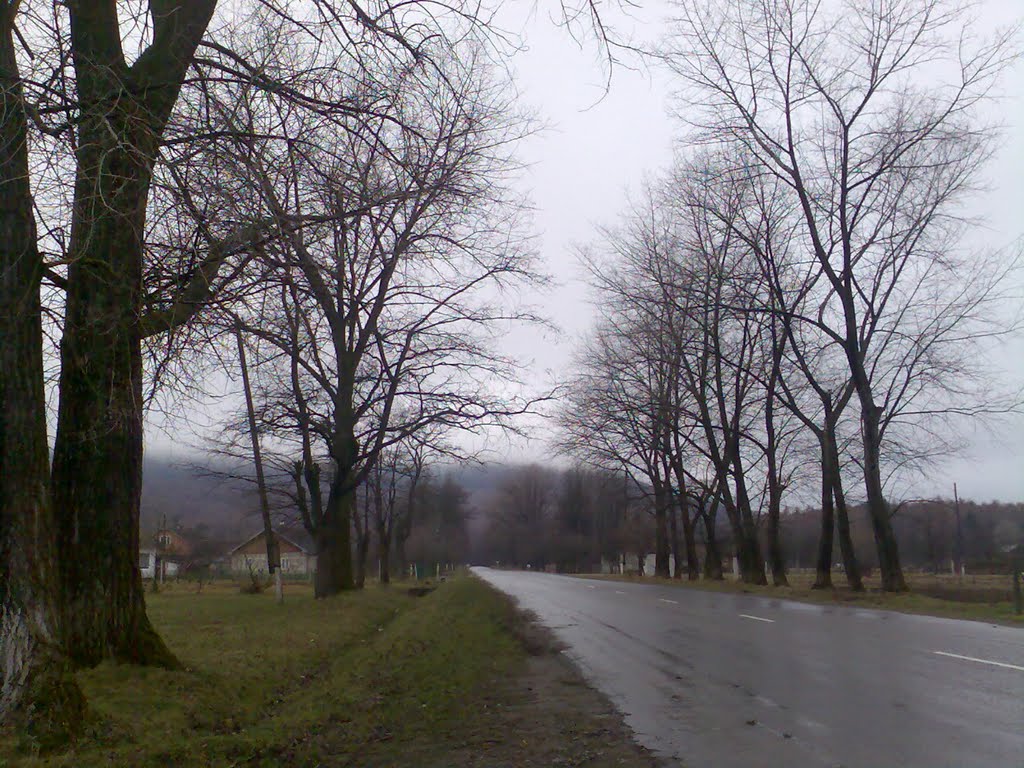 с. Багна