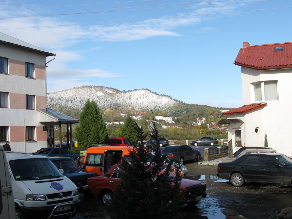 Вижниця