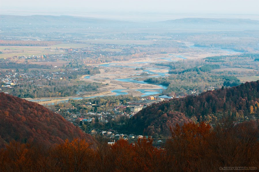 Вижница