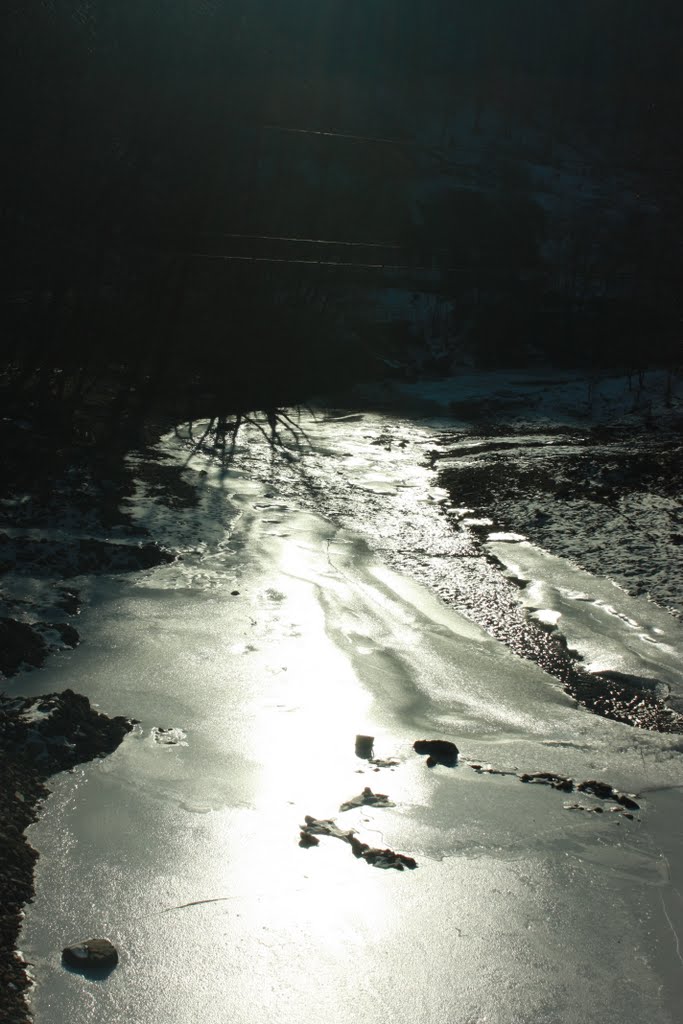 р. Виженка під льодом