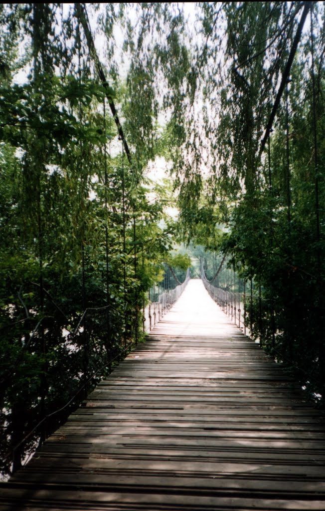 Кладка між Кутами та Вижнецею 2006 рік
