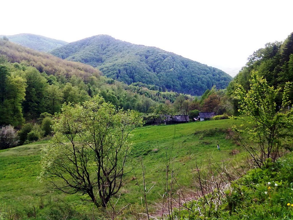 Вижница (спуск)