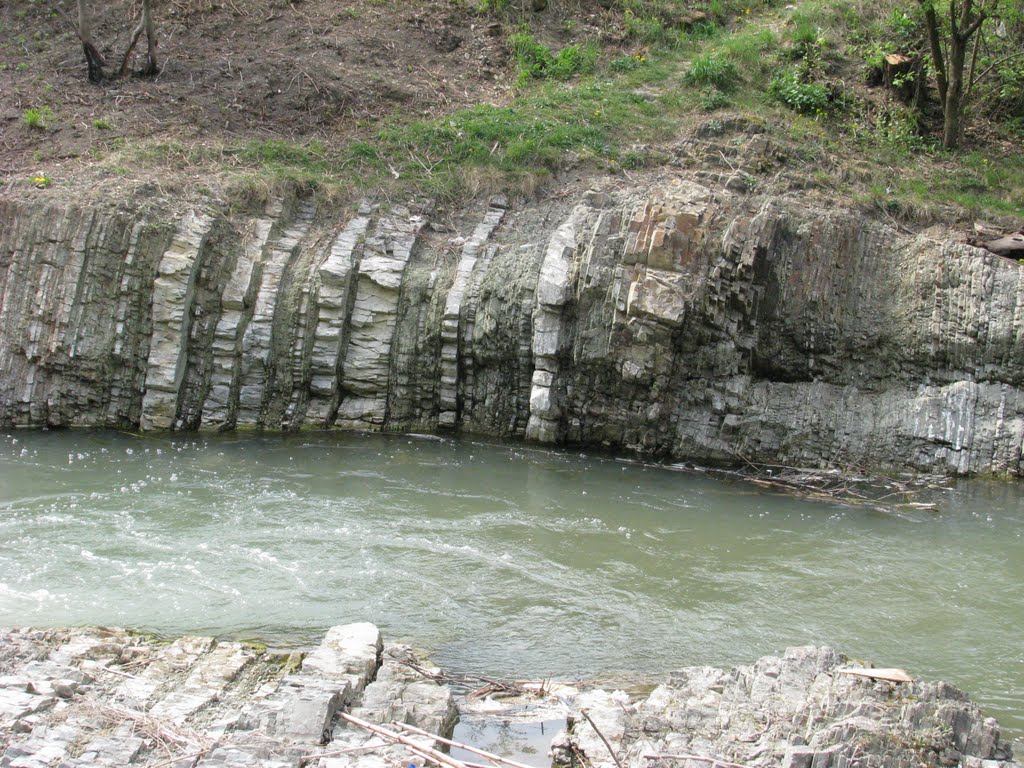 River Vyzhenka