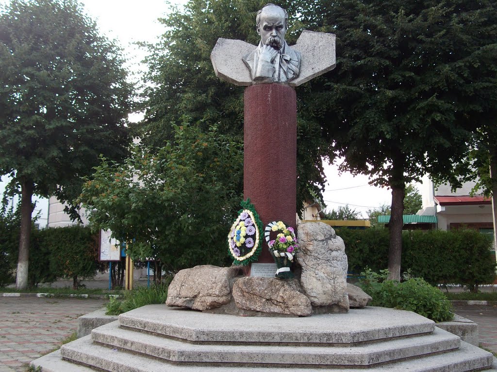 Vyzhnycya, Вижниця