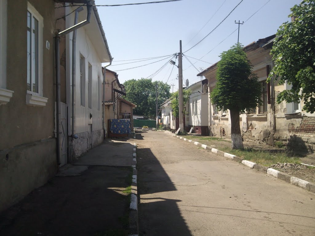 Street in Viznitz, near the Ringleplatz