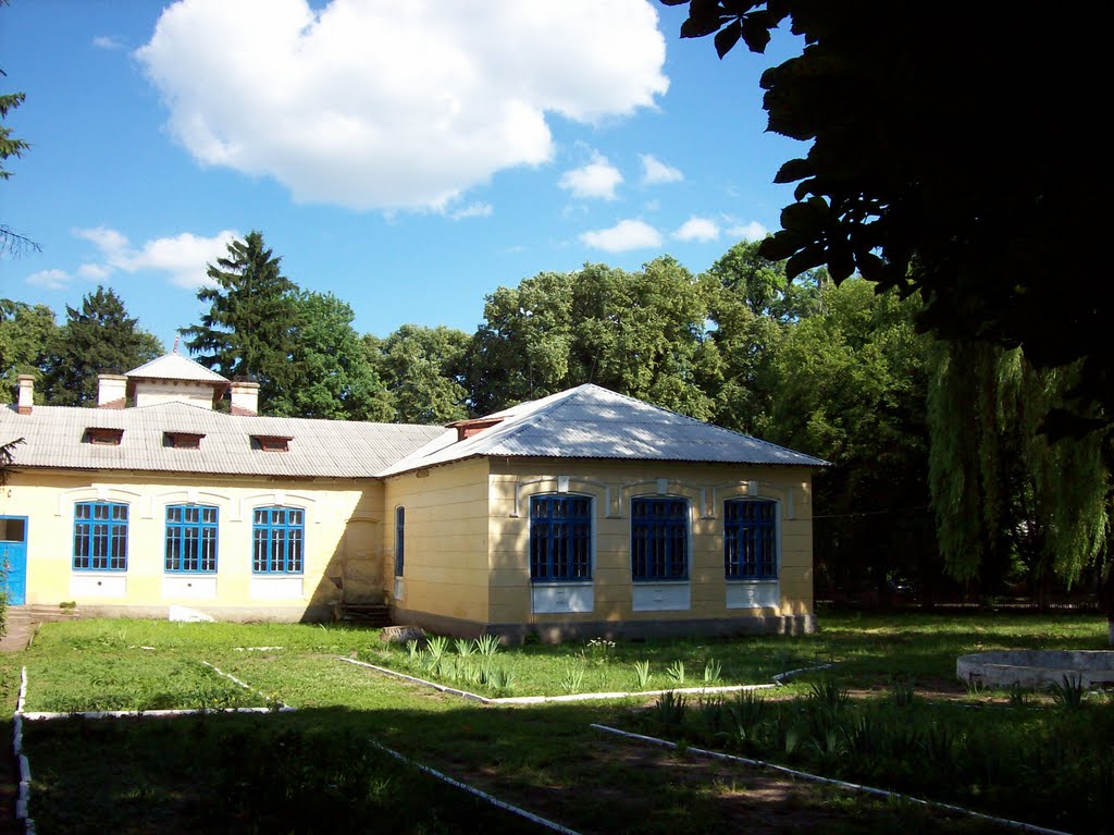 школа