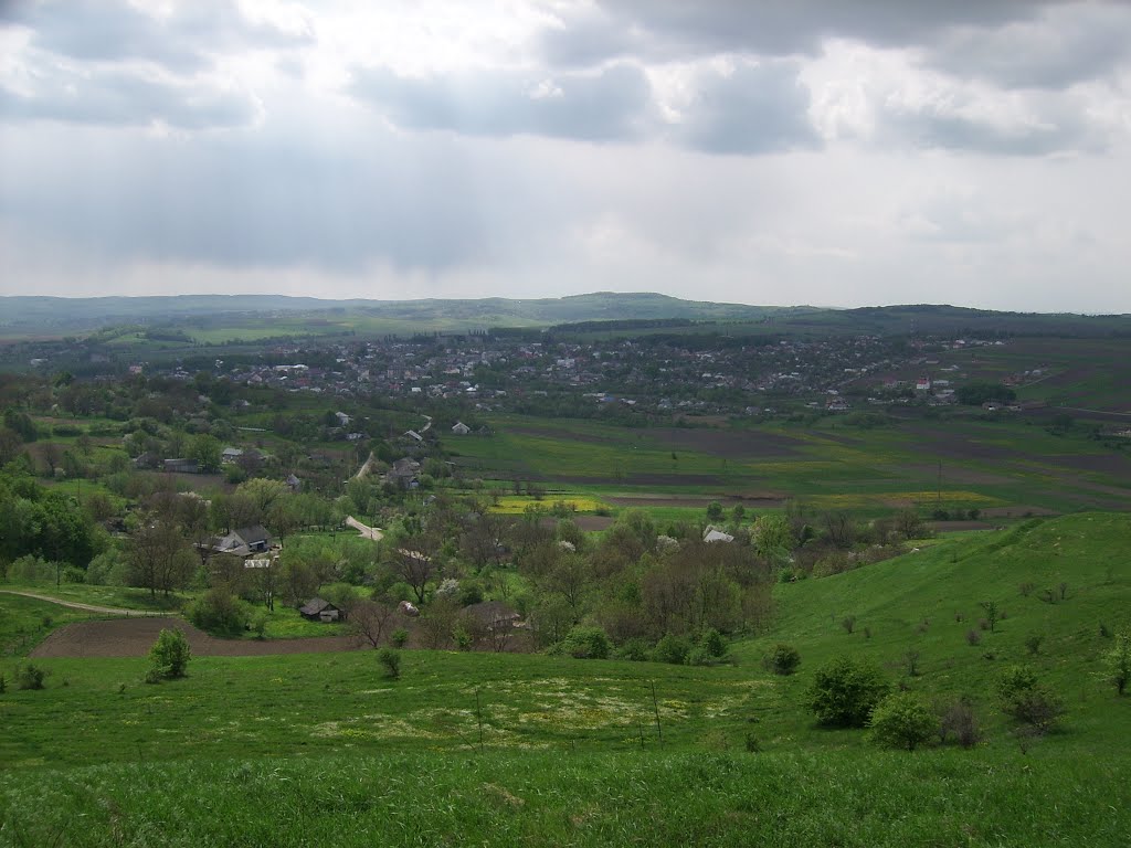герца. вид с мовильскойгоры
