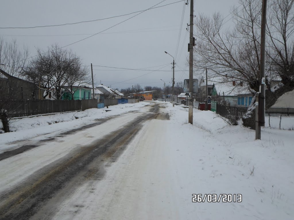 дорога на с. тернавка.