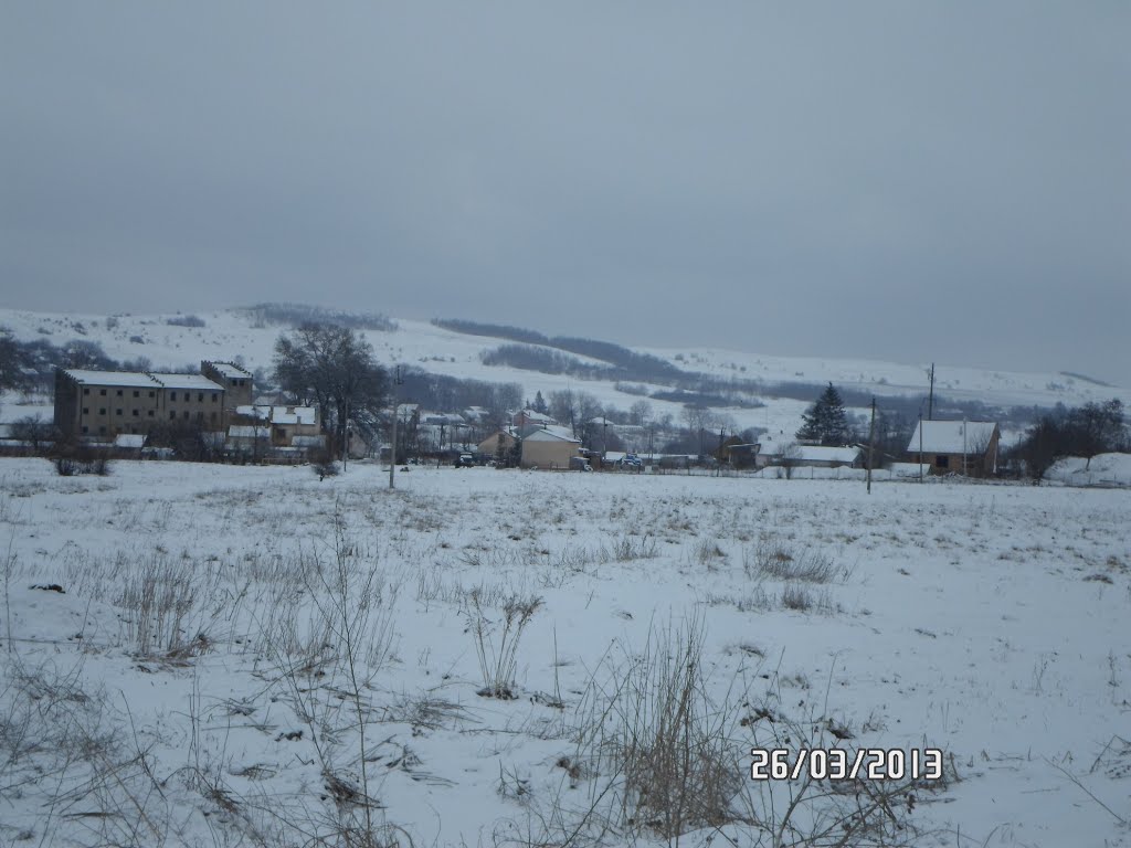 в далеке -мельница.