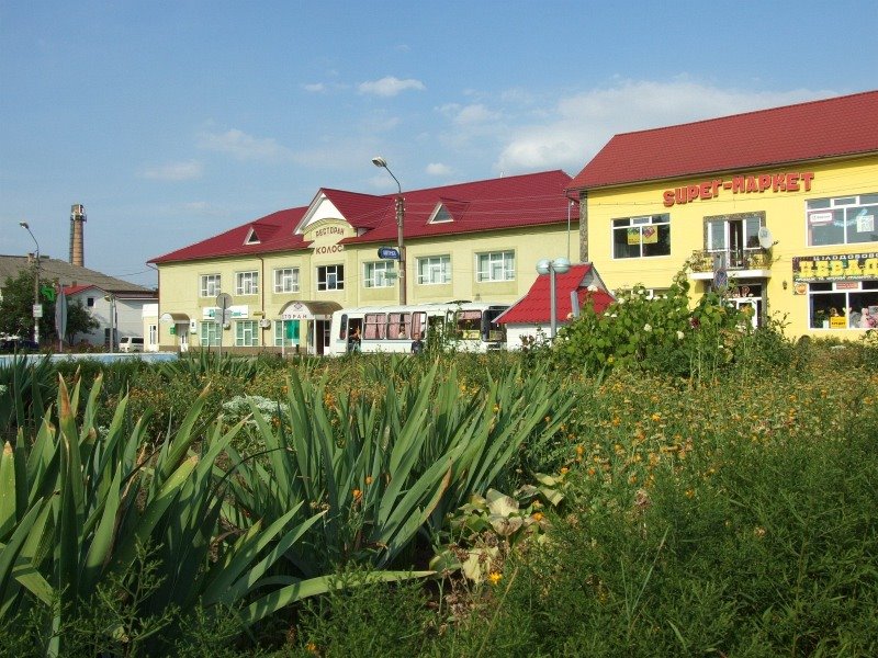 Horoshivtsi