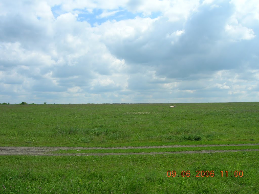 Одна в полі