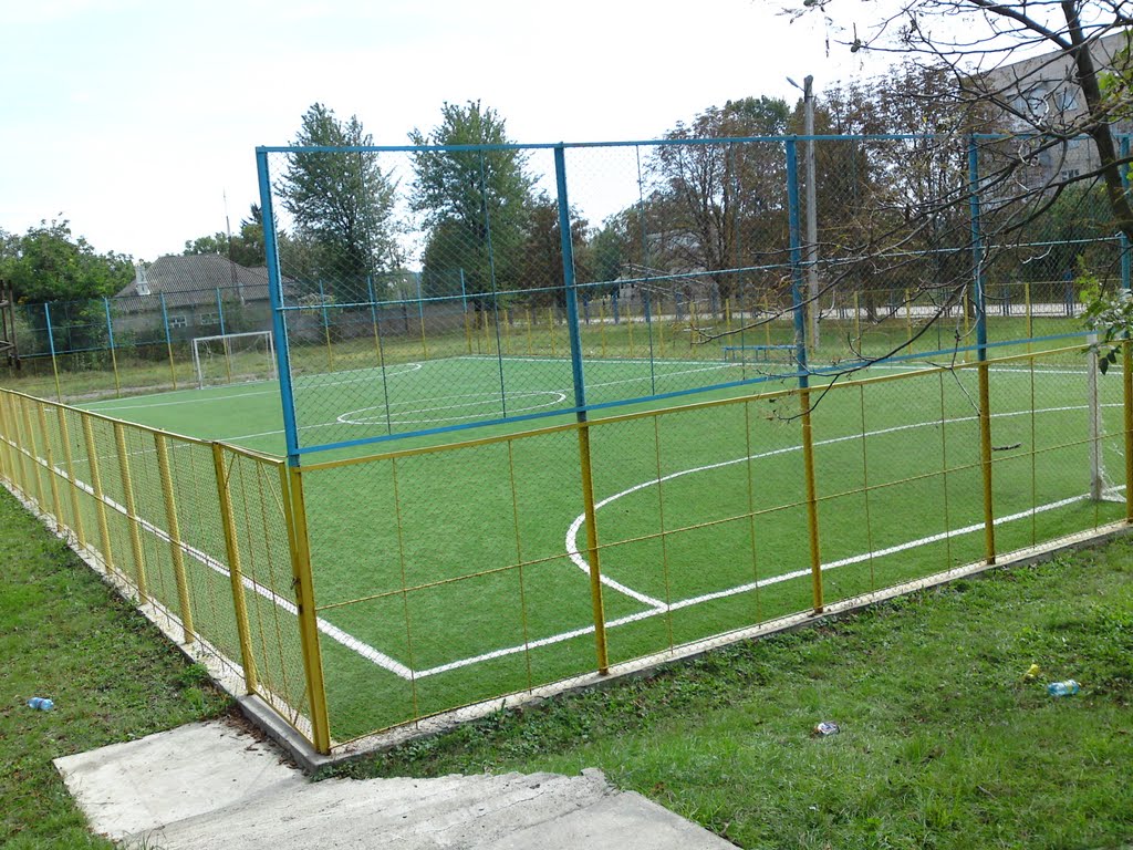 Artificial grass field
