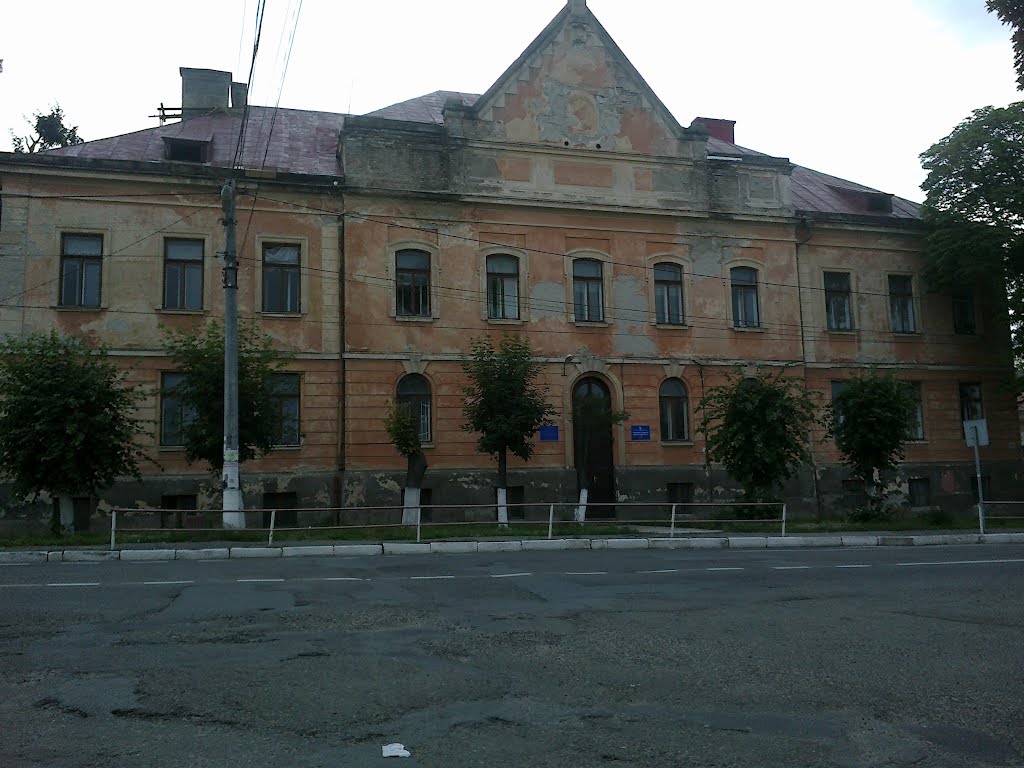 Районні: дитяча бібліотека та будинок дитячої творчості