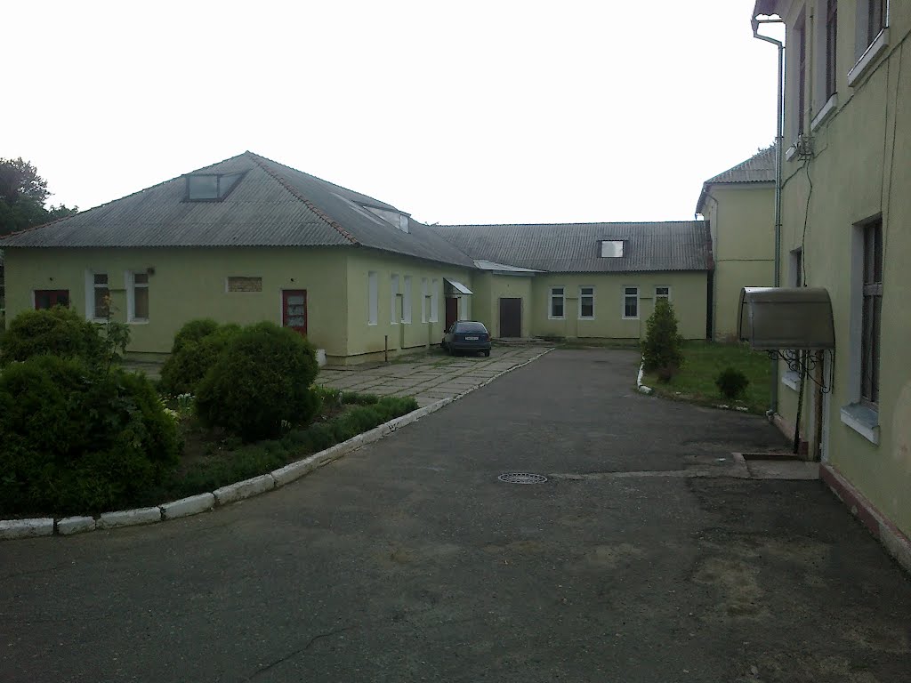Двір гімназії