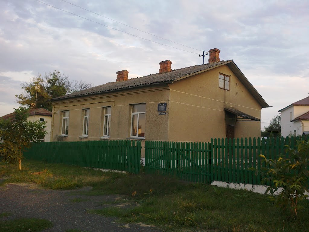 Насінева інспекція