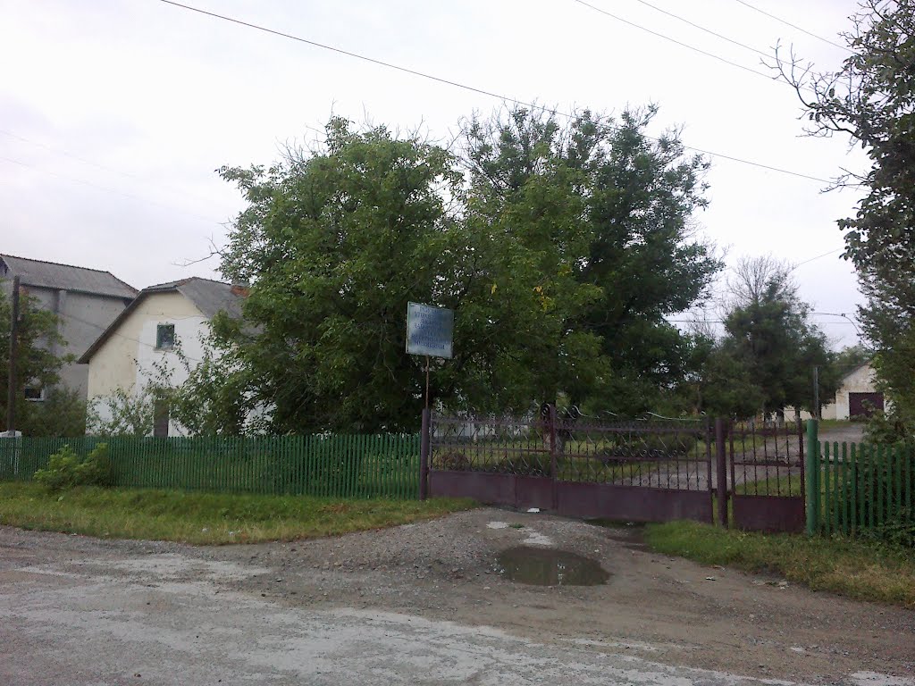 Ветлікарня