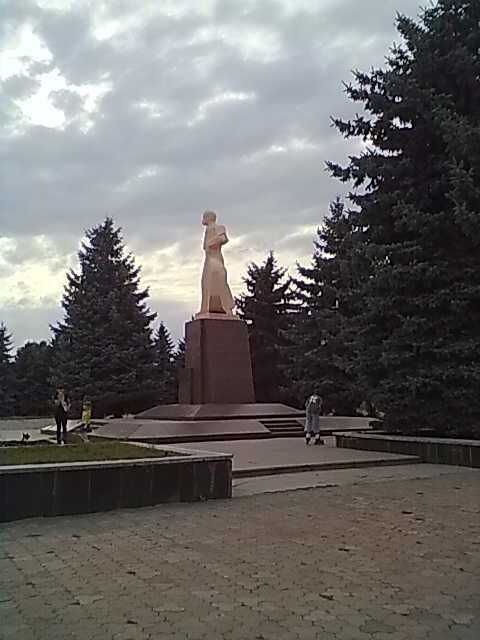 P.T. SHEVCHENKO,NOCELYTYA