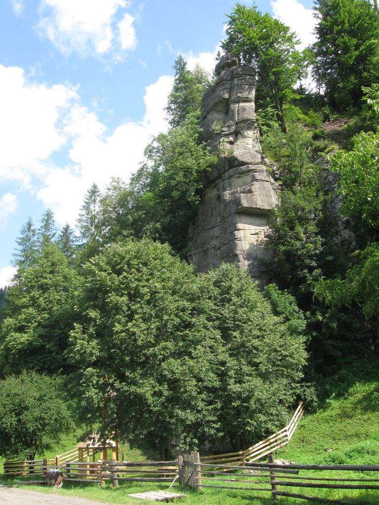 Камяна багачка