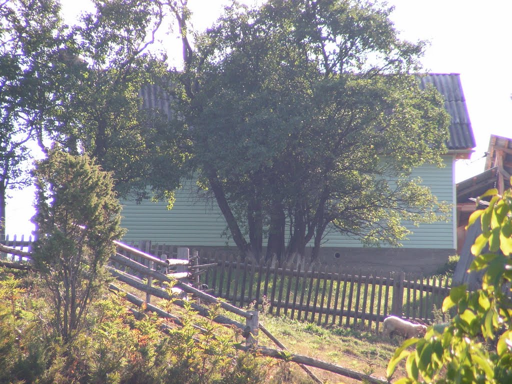 modern neighbour