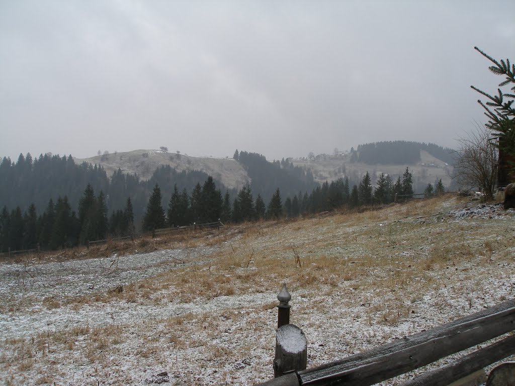 Карпаты