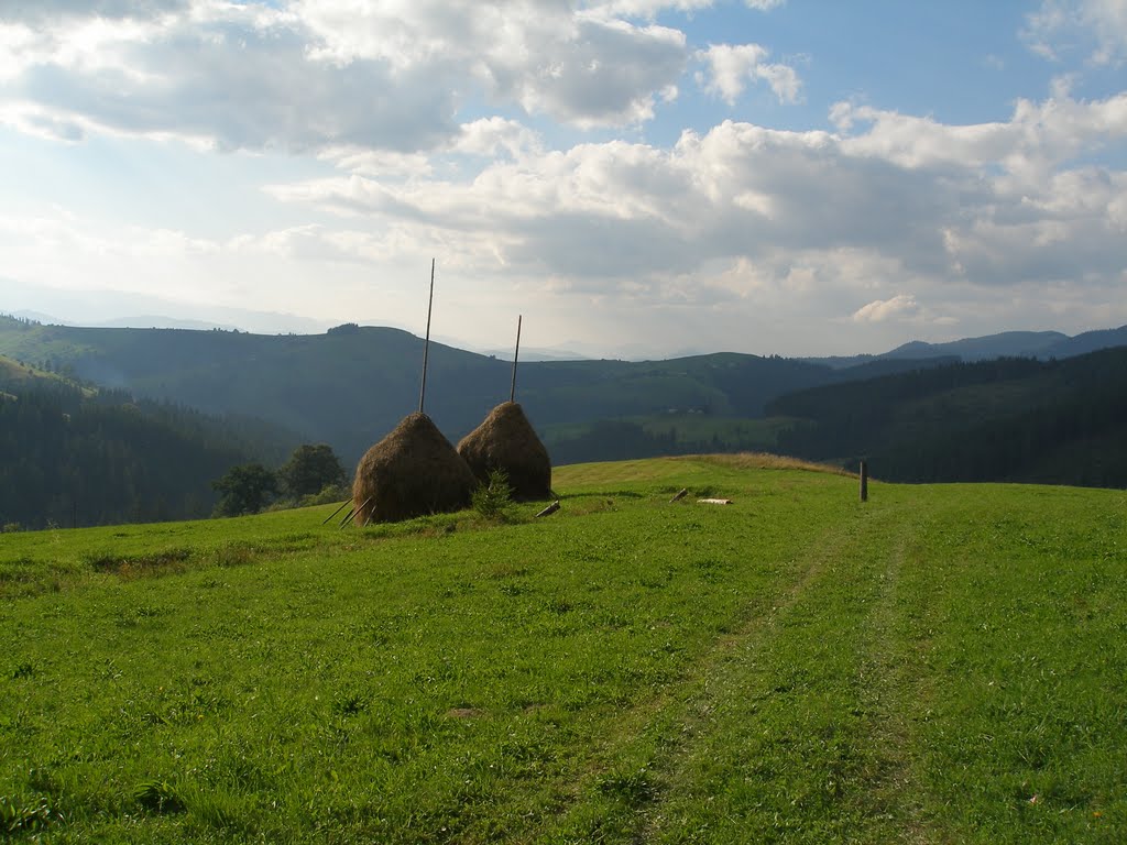 Карпаты