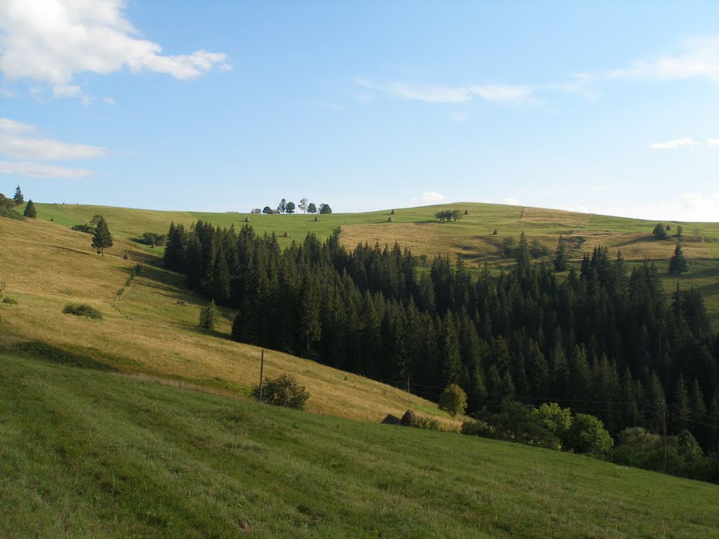 Карпаты