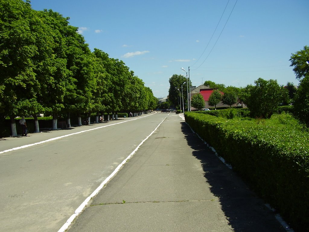 Вид на аллею возле центральной площади