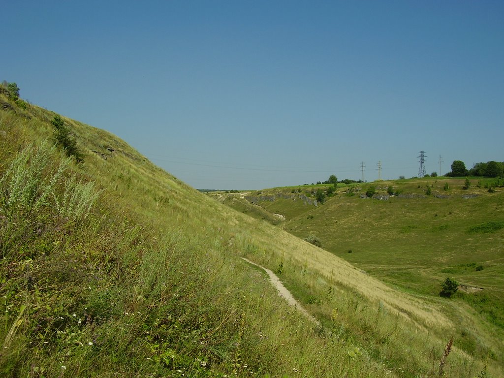 Вигляд яру в сторону ліса.