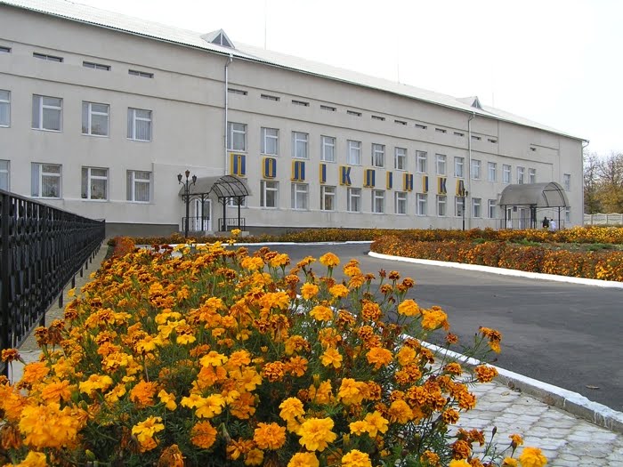 Поліклініка Сокирянської ЦРЛ