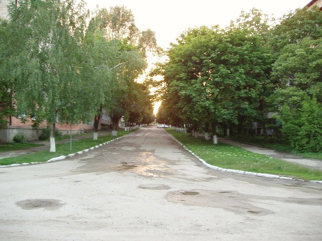 Сокиряны