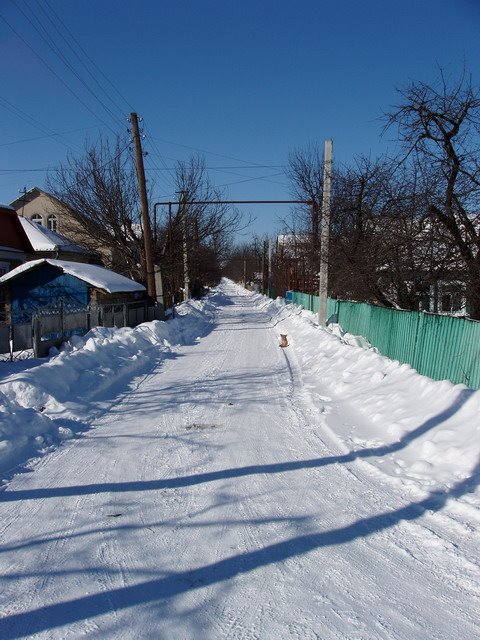 Зима на моей улице