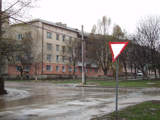 Весенний дождь