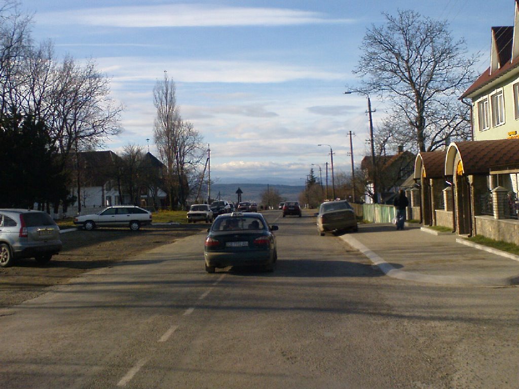 Сторожинец. Утро. 20.11.2008