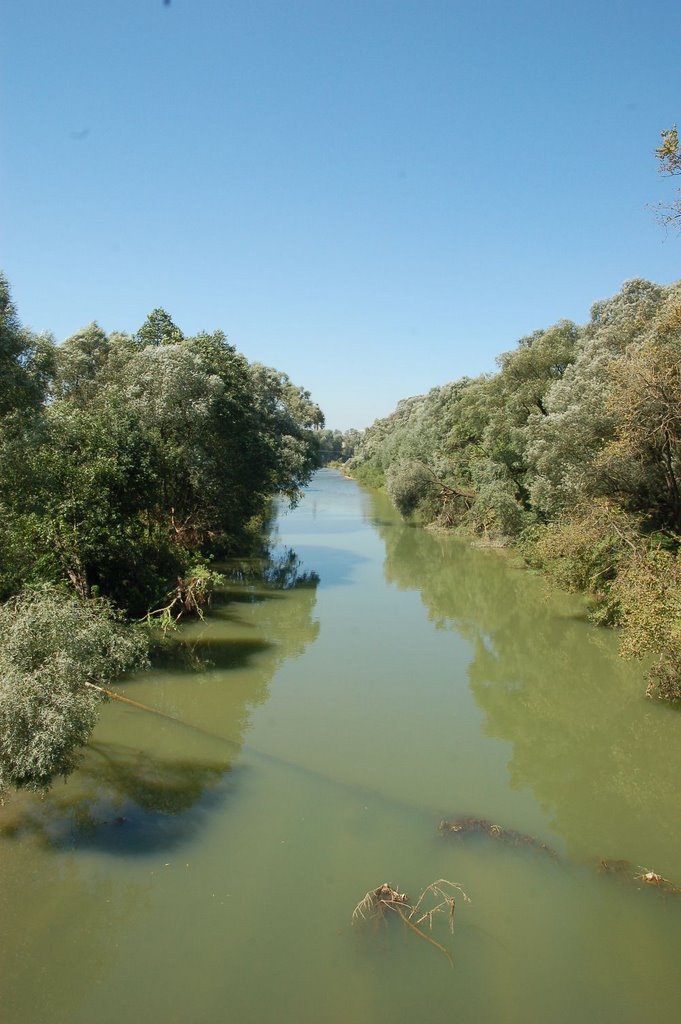 Seeret river 02