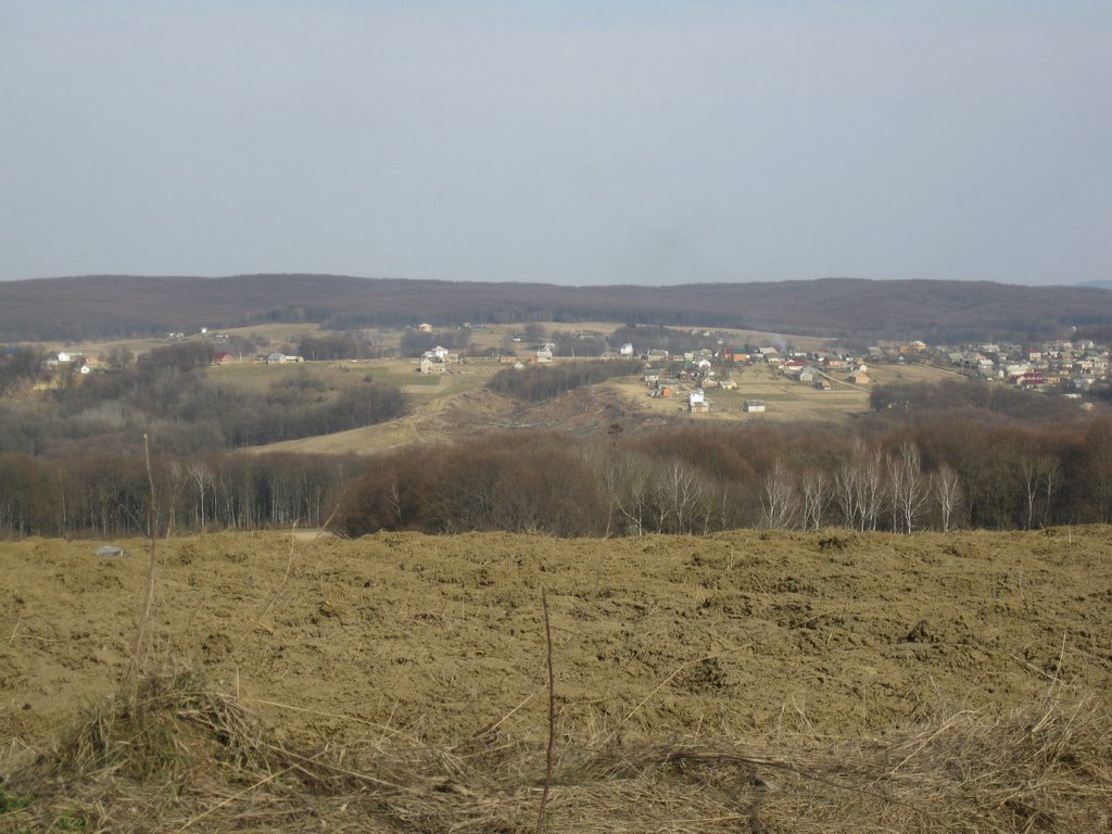 дальний лес